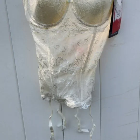 NEW Skinny Girl Lovely Lace Bustier - Picture 9 of 10